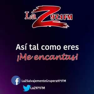 laz5 copia 2