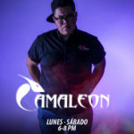 04_CAMALEON