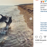 Captura de pantalla 2020-06-19 a la(s) 11.34.31