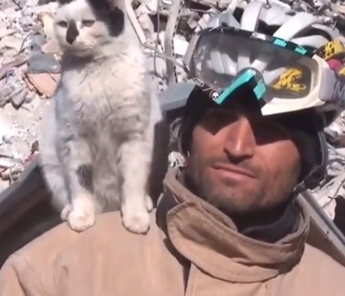 Captura de pantalla 2023-02-20 a la(s) 12.43.16