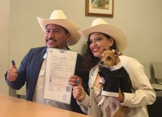 Perrito firma como testigo en la boda de sus humanos