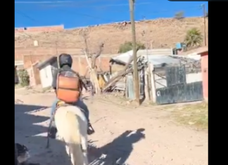Repartidor de DiDi Food se hace viral por realizar entregas a caballo